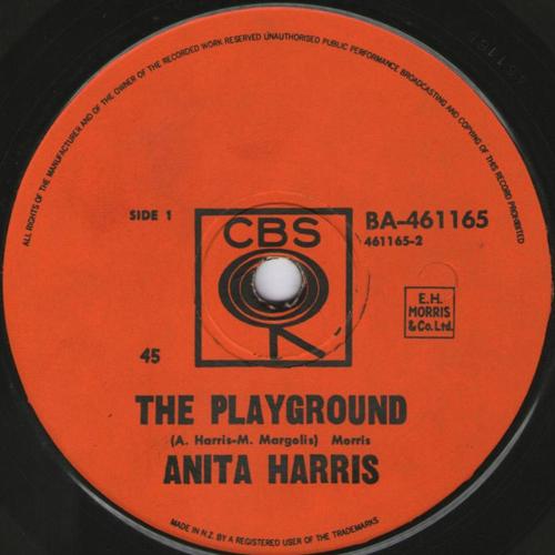 Anita Harris The Playground